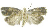  ( - INB0003388402)  @12 [ ] CreativeCommons - Attribution Non-Commercial Share-Alike (2012) National Biodiversity Institute of Costa Rica National Biodiversity Institute of Costa Rica