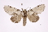  ( - INB0003388664)  @11 [ ] Copyright (2012) I. Chacon Instituto Nacional de Biodiversidad