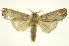  ( - INB0003400792)  @11 [ ] Copyright (2012) Juan Mata Lorenzen Unspecified