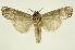  ( - INB0003400792)  @11 [ ] Copyright (2012) Juan Mata Lorenzen Unspecified