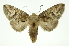  ( - INB0003400805)  @11 [ ] Copyright (2012) Juan Mata Lorenzen Unspecified