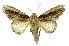  ( - INB0003400818)  @11 [ ] Copyright (2012) Juan Mata Lorenzen Unspecified