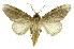  ( - INB0003400818)  @11 [ ] Copyright (2012) Juan Mata Lorenzen Unspecified