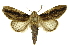  ( - INB0003400821)  @11 [ ] Copyright (2012) Juan Mata Lorenzen Unspecified