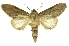  ( - INB0003400821)  @11 [ ] Copyright (2012) Juan Mata Lorenzen Unspecified