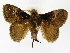  ( - INB0003400861)  @14 [ ] Copyright (2012) J. Montero Instituto Nacional de Biodiversidad