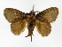  ( - INB0003400861)  @13 [ ] Copyright (2012) J. Montero Instituto Nacional de Biodiversidad