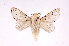  ( - INB0003401069)  @14 [ ] Copyright (2012) J. Montero Instituto Nacional de Biodiversidad