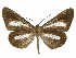  ( - INB0003401354)  @11 [ ] Copyright (2012) J. Montero Instituto Nacional de Biodiversidad