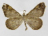  ( - INB0003401355)  @14 [ ] Copyright (2012) J. Montero Instituto Nacional de Biodiversidad