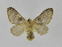  ( - INB0003401554)  @13 [ ] Copyright (2012) J. Montero Instituto Nacional de Biodiversidad