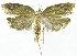  ( - INB0003401625)  @12 [ ] CreativeCommons - Attribution Non-Commercial Share-Alike (2012) National Biodiversity Institute of Costa Rica National Biodiversity Institute of Costa Rica