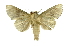  ( - INB0003401866)  @11 [ ] Copyright (2012) Juan Mata Lorenzen Unspecified