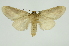  ( - INB0003401875)  @13 [ ] Copyright (2012) Juan Mata Lorenzen Unspecified
