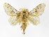  (Titya Montero04 - INB0003403183)  @14 [ ] Copyright (2012) J. Montero Instituto Nacional de Biodiversidad