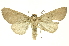  ( - INB0003403215)  @11 [ ] Copyright (2012) Juan Mata Lorenzen INBio