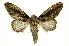  ( - INB0003403752)  @11 [ ] Copyright (2012) Juan Mata Lorenzen Unspecified