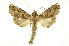  ( - INB0003416647)  @14 [ ] Copyright (2012) Juan Mata Lorenzen Unspecified
