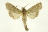  ( - INB0003416647)  @14 [ ] Copyright (2012) Juan Mata Lorenzen Unspecified