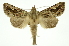  ( - INB0003416987)  @12 [ ] Copyright (2012) Juan Mata Lorenzen Unspecified