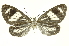  ( - INB0003417023)  @13 [ ] Copyright (2012) Juan Mata Lorenzen Unspecified