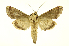  ( - INB0003433928)  @13 [ ] Copyright (2012) Juan Mata Lorenzen Unspecified