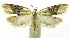  ( - INB0003434111)  @11 [ ] CreativeCommons - Attribution Non-Commercial Share-Alike (2012) National Biodiversity Institute of Costa Rica National Biodiversity Institute of Costa Rica