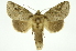  ( - INB0003434635)  @11 [ ] Copyright (2012) Juan Mata Lorenzen Unspecified