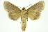 ( - INB0003434635)  @11 [ ] Copyright (2012) Juan Mata Lorenzen Unspecified