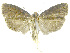  ( - INB0003434700)  @12 [ ] CreativeCommons - Attribution Non-Commercial Share-Alike (2012) National Biodiversity Institute of Costa Rica National Biodiversity Institute of Costa Rica