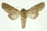  ( - INB0003434768)  @13 [ ] Copyright (2012) Juan Mata Lorenzen Unspecified