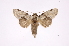  ( - INB0003434776)  @11 [ ] Copyright (2012) I. Chacon Instituto Nacional de Biodiversidad