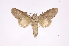  ( - INB0003434776)  @11 [ ] Copyright (2012) I. Chacon Instituto Nacional de Biodiversidad