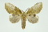  ( - INB0003434779)  @11 [ ] Copyright (2012) Juan Mata Lorenzen Unspecified