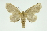  ( - INB0003434779)  @11 [ ] Copyright (2012) Juan Mata Lorenzen Unspecified