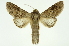  ( - INB0003434781)  @13 [ ] Copyright (2012) Juan Mata Lorenzen Unspecified
