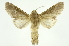  ( - INB0003434781)  @13 [ ] Copyright (2012) Juan Mata Lorenzen Unspecified