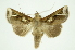 ( - INB0003434789)  @13 [ ] Copyright (2012) Juan Mata Lorenzen Unspecified