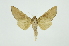  ( - INB0003435256)  @13 [ ] Copyright (2012) Juan Mata Lorenzen INBio