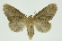  ( - INB0003435259)  @11 [ ] Copyright (2012) Juan Mata Lorenzen Unspecified