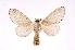  ( - INB0003444933)  @13 [ ] Copyright (2012) J. Montero Instituto Nacional de Biodiversidad