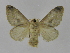  ( - INB0003444992)  @14 [ ] Copyright (2012) J. Montero Instituto Nacional de Biodiversidad