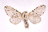  ( - INB0003445031)  @13 [ ] Copyright (2012) J. Montero Instituto Nacional de Biodiversidad