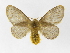  ( - INB0003445039)  @11 [ ] Copyright (2012) J. Montero Instituto Nacional de Biodiversidad