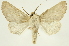 ( - INB0003445543)  @13 [ ] Copyright (2012) J. Montero INBio