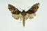  ( - INB0003445607)  @13 [ ] Copyright (2012) Juan Mata Lorenzen Unspecified