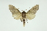  ( - INB0003445607)  @13 [ ] Copyright (2012) Juan Mata Lorenzen Unspecified