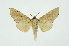  ( - INB0003445647)  @12 [ ] Copyright (2012) Juan Mata Lorenzen INBio