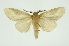  ( - INB0003445865)  @11 [ ] Copyright (2012) Juan Mata Lorenzen Unspecified