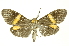  ( - INB0003454943)  @11 [ ] Copyright (2012) Juan Mata Lorenzen INBio